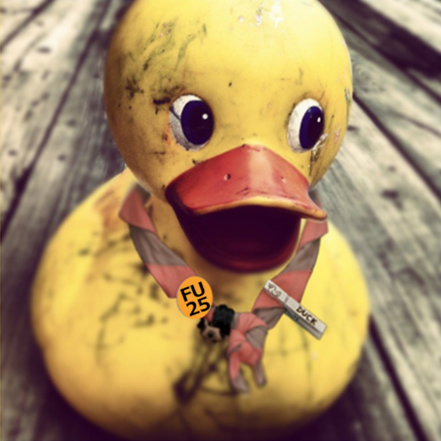 Duck's Vyle Race